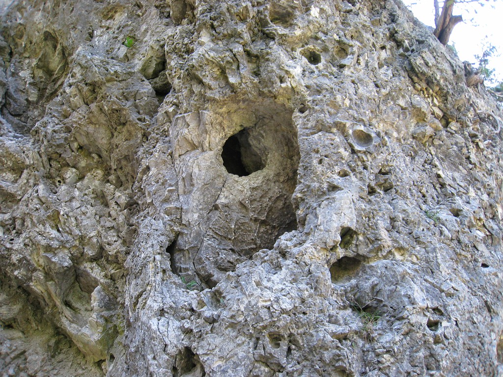 Mackinaw Island Area May 2008 0895.jpg - May 24 2008 a trip to Mackinac City for a 5 M race and a visit to Mackinac Island. A day to the UP, Paradise, Whitefish Point and Tahquamen Falls. This was followed by trips to Petoskey and Charlevoix.